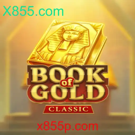 BookOfGoldClassic: Um Mergulho na Aventura Mística de X855.com
