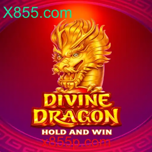 Explorando as Aventuras Épicas de DivineDragon