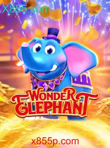 WonderElephant: Descubra o Fascinante Mundo do Novo Jogo